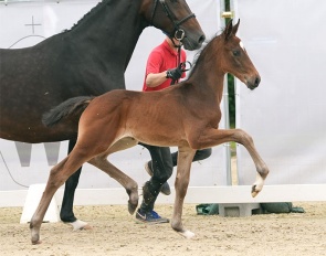 Best Secret (by Blue Hors Bondo x Depeche Mode) :: Photo © Recki