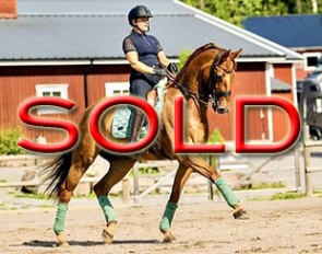 Don Leon (by De l'Or x Dimaggio)