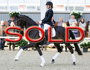 HP Tiramisu (by Furstenball x Florencio x Rubinstein)