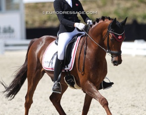 Dagmaar Oxlund and Campari W at the 2018 CDIO Uggerhalne :: Photo © Astrid Appels