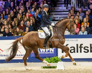 Hans Peter Minderhoud and King Karim at the 2020 KWPN Stallion Licensing :: Photo © Dirk Caremans