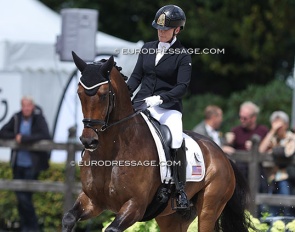Rebecca Rigdon and MSJ For VIPs at the 2023 World Young Horse Championships :: Photo © Astrid Appels