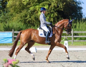 Dominique van der Horst on Tsar van de Wolfshoeve at the Belgian WCYH selection trial in Hannut :: Photo © Annemieke van der Horst