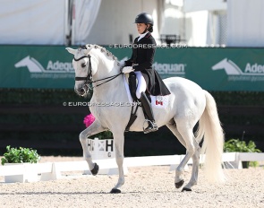 Guateque IV at the 2024 CDI Wellington :: Photo © Astrid Appels