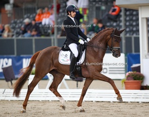 Riccardo Sanavio and Venere at the 2021 World Young Horse Championships in Verden :: Photo © Astrid Appels