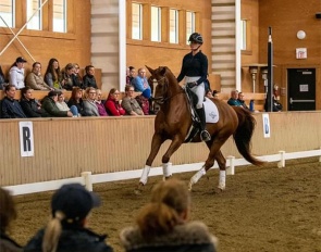 Ashley Moore on Karinos (by Chippendale x Tolando) in the 2024 Daniel Bachmann Andersen clinic in Langley, BC, Canada :: Photos © Cara Grimshaw