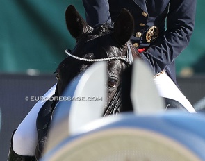 Tick Tock - is it time to change the sport of dressage? :: Photo © Astrid Appels