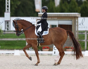 Theodora Livanos and Dono di Maggio at the 2023 CDI Kronenberg :: Photo © Astrid Appels