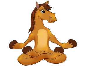 Nama-hay