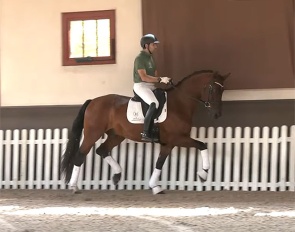 Glamour Hope Malleret PS (by Glamourdale x Vitalis)