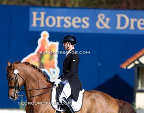 Marcus Hermes and Estero in the Louisdor cup warm-up test at Horses and Dreams 2024 :: Photo © Astrid Appels