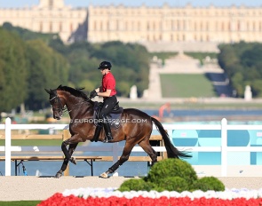 Frederic Wandres schooling Bluetooth at the 2024 Olympic Games :: Photo © Astrid Appels
