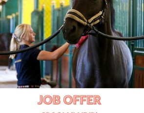 Groom Wanted at Gestüt Schafhof in Kronberg