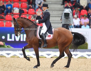 Lone Bang Larsen and Fitou L at the 2013 European Dressage Championships in Herning :: Photo © Astrid Appels