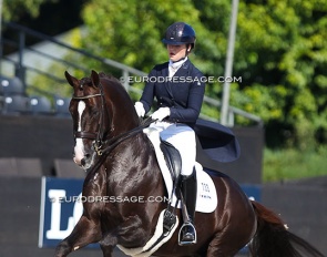 Giovanni at the 2018 World Young Horse Championships :: Photo © Astrid Appels