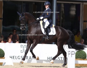 Natalia Bacariza Danguillecourt and Dhannie at the 2021 European Junior Riders Championships :: Photo © Astrid Appels