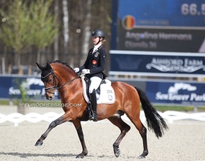 Antonia Roth and Dark Delight B at the 2021 CDI Opglabbeek :: Photo © Astrid Appels