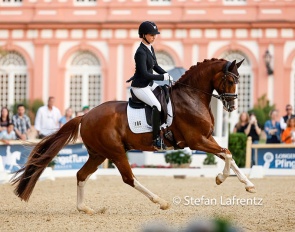 Roxana Mohr and Quick Decision at the 2022 CDI Wiesbaden :: Photos © Stefan Lafrentz