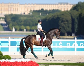Antonio do Vale on Fine Fellow H at the 2024 Paris Olympics :: Photo © Astrid Appels