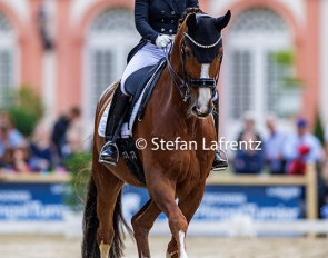 Franziska Stieglmaier and Diamond Head at the 2024 CDI Wiesbaden :: Photo © Stefan Lafrentz