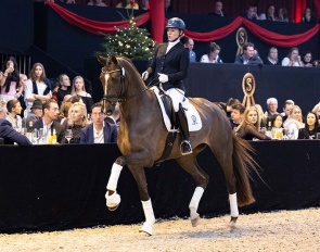 Vivendy at the 2024 PSI Auction in Ankum