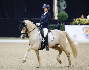 Miami (by FS Mr Right x Pilgrim's Red)
