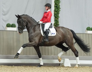Unforgettable Feeling (by Secret x Swarovski)