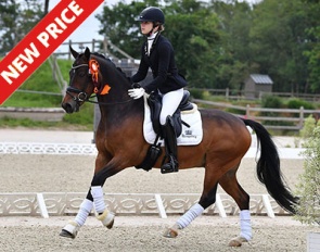 Koncorde van Equicenter at the CDI Le Mans