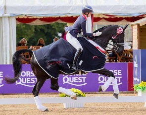 Totil Platinum (by Totilas x Rotspon x Escudo)