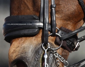 A common sight in international dressage: cranked noseband with double padding :: Photo © Astrid Appels