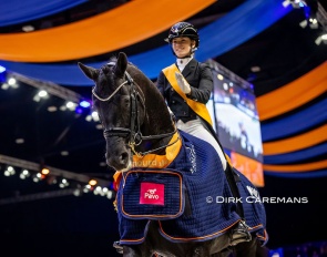 Glamourdale at the 2025 KWPN Stallion Show in 's Hertogenbosch :: Photo © Dirk Caremans