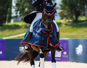 Son of a Lady, kur gold medal winner at the 2024 North American Under 25 Championships :: Photo © Lauren Pitylak