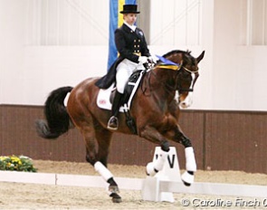 Amber de Savary and Diamond Fritz at the 2008 CDI Addington :: Photo © Caroline Finch