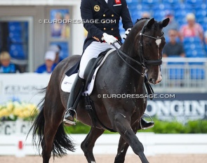 Spencer Wilton and Super Nova at the 2018 World Equestrian Games :: Photo © Astrid Appels