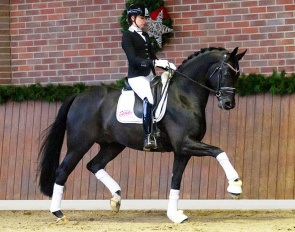 Simone Pearce on Bon Joker in 2019 :: Photo © Gestut Sprehe