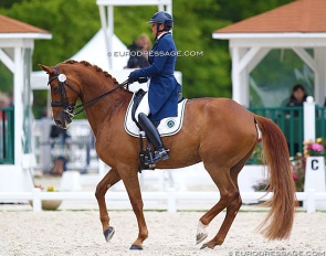 Nicole Favereau and Ginsengue at the 2019 CDIO Compiegne :: Photo © Astrid Appels