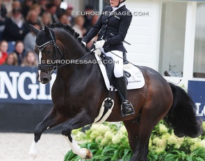Maxi Kira von Platen and Elastic in the 4-YO challenge at the 2023 World Young Horse Championships :: Photo © Astrid Appels