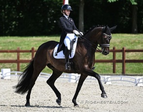 Frederikke Gram Jacobsen and Foldbergs Dantino at the 2024 Danish Young Riders Championships :: Photo © Ridehesten