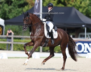 Marina Welbers and Vaida-Girl at the 2024 World Young Horse Championships :: Photo © Astrid Appels
