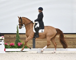 Benjamin Albright and Dominy at the 2025 CDI Ocala :: Photo © Andrew Ryback