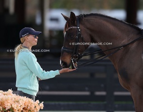 Anne Gribbons giving a sugar to Anna Marek's Fire Fly :: Photos © Astrid Appels