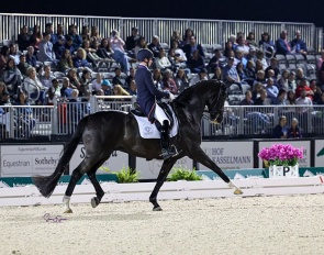 Kevin Kohmann and Dunensee at the 2025 CDI-W Palm Beach Derby :: Photo © Sue Stickle