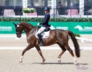 Fiona Howard and Diamond Dunes at the 2025 CPEDI Wellington :: Photo © Sue Stickle
