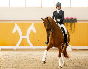 Vision (by Vitalis x Werther)