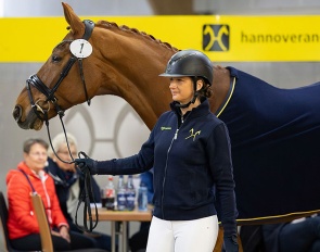 Vision (by Vitalis x Werther) with Stefanie Wolf-Viehoff :: Photo: Hannoveraner Verband