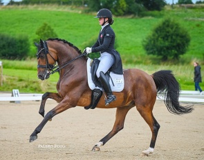 Bergåkras Amaranth : Photo © Palero Foto