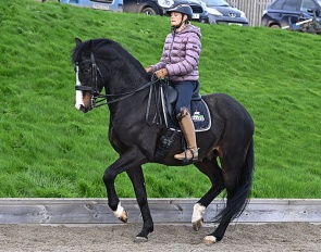 My Pride (by Toto Jr x Johnson)