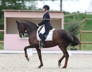Emma Kanerva on Feldrose at the 2022 CDI Troisdorf :: Photo © Astrid Appels