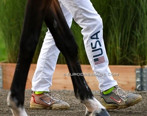 U.S. team rider Steffen Peters at the horse inspection at the 2022 World Championships in Herning :: Photo © Astrid Appels