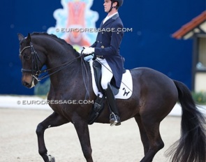 William Matthew on Freischütz in the Louisdor Cup qualifier held at the 2023 CDI Hagen :: Photo © Astrid Appels